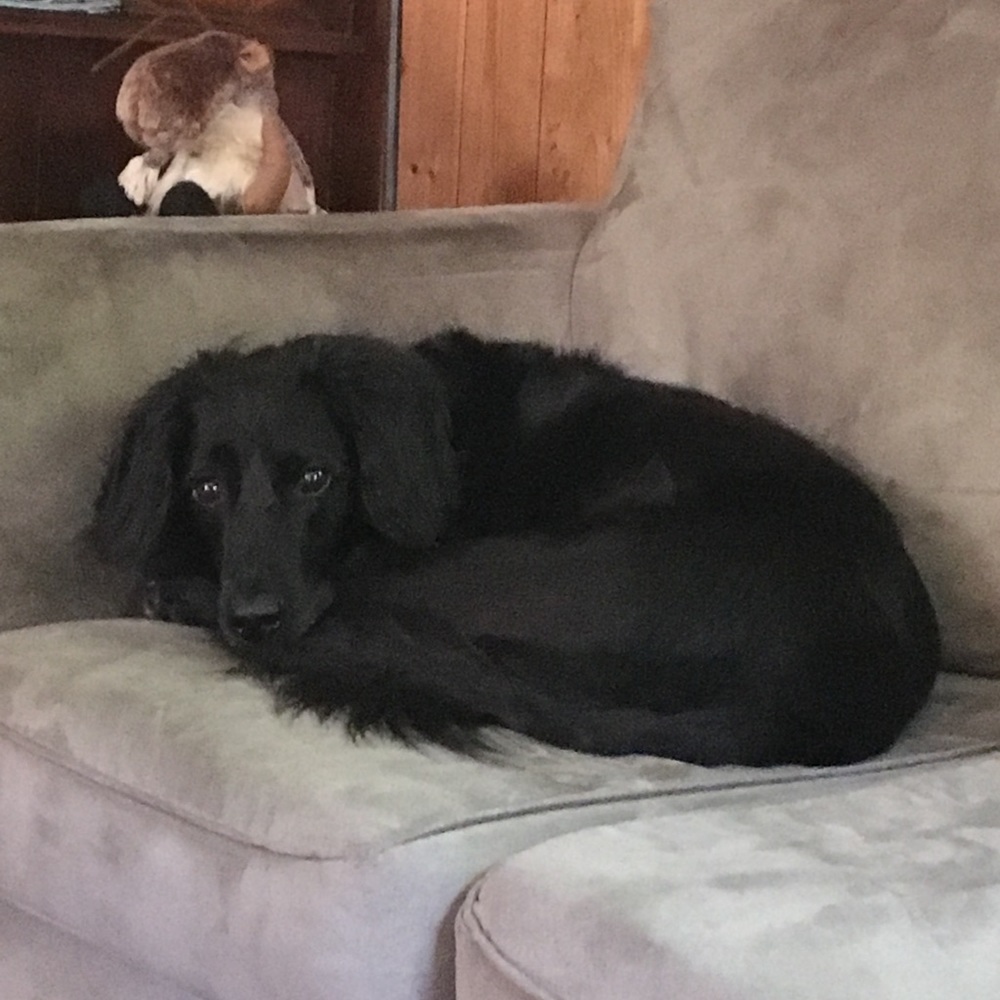 Meet your Posher, Julia